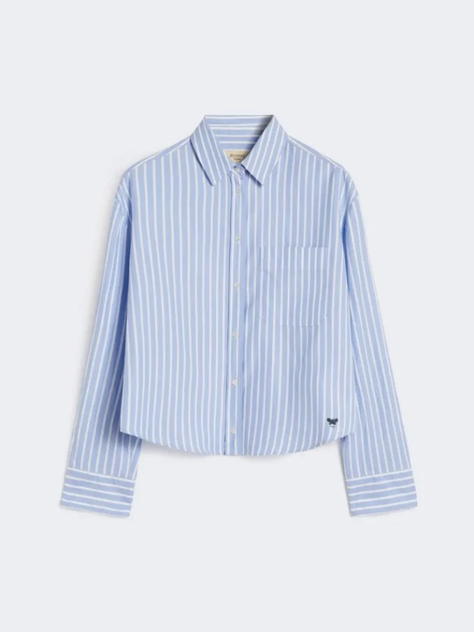 Gestreiftes Oxford-Hemd aus Baumwolle, hellblau Gestreiftes Oxford-Hemd aus Baumwolle, hellblau